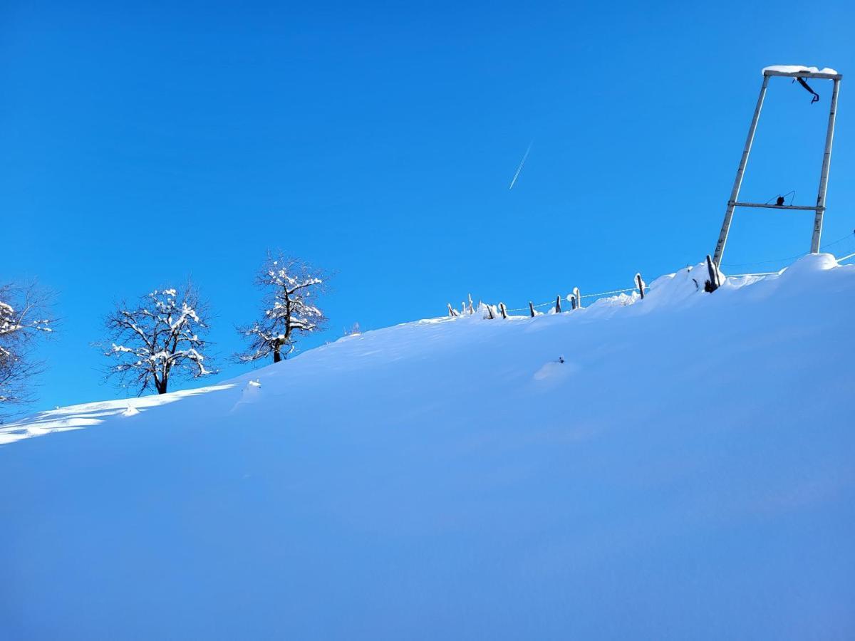 شقة Bergbauernhof-Grinzens المظهر الخارجي الصورة